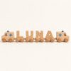 LUNA ambulance name train