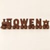 Dark brown name train spelling OWEN